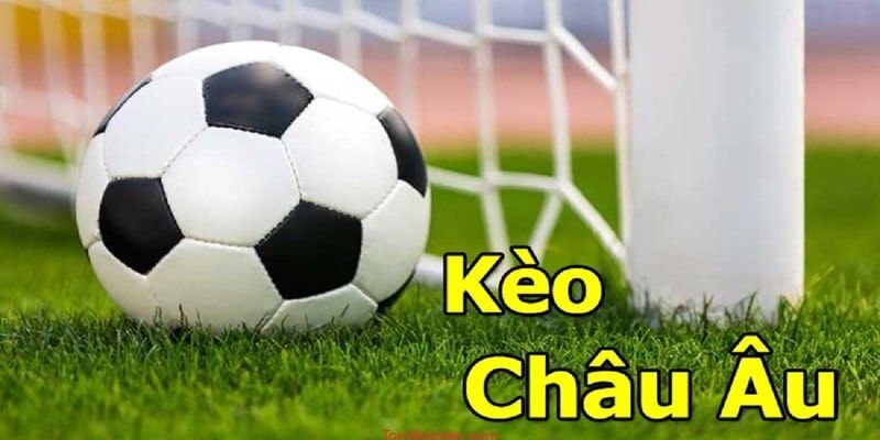 Cách đọc kèo 1x2 chuẩn từng milimet ở OK9